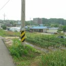 미술관안마시술소 이미지