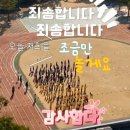 풍경운동장 이미지