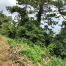 소안면-2 이미지