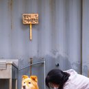 병술만어촌체험휴양마을 Daum카페