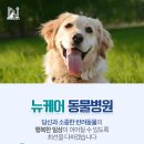 뉴케어동물병원 이미지