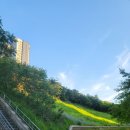 이마트24 구월성리점 이미지