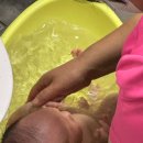 도봉 아가마지 산후도우미 4주 쌍둥이 후기 (박*진, 백*화 관리사님)