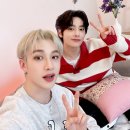 투스테이(2 STAY) Daum카페