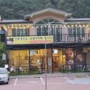 인투캣츠 이미지