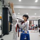 용인대MTA태권도 이미지