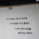 와유민박