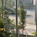 꽃바람화원