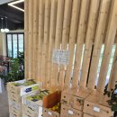 카페 피오르 | [곡성 맛집] 카페 - 곡성 감성 카페 피오르🌿 후기