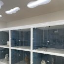 뽐내시개 이미지