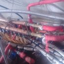 백옥대로 이미지