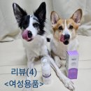 워시워시 | (여성청결제 추천)닐라브 페미닌 포밍 워시 사용후기