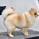딥잉 산본점 이미지