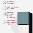 매직스페이스 | LG전자 오브제컬렉션 870L 매직스페이스 메탈 4도어 디오스 냉장고 추천 후기 🧊✨