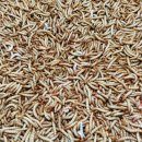 어등농장 이미지