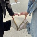 팀비씨알 | 24살 방금 됐어요!!!!