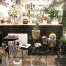 바즈플라워 이미지