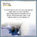 녹색장례 이미지
