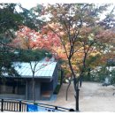 토끼사육장 인근(배봉산) Daum카페