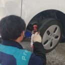 프로미자주카 네이버블로그