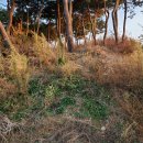 빛그린산단로 이미지