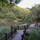 장동산림욕장 이미지