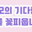 청록태권도장