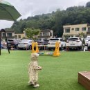 와라와라펜션 이미지