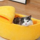 고양이집 이미지