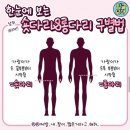 숏다리와 롱다리 구별법 이미지