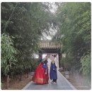 전주 한복대여 사랑나무한복에서 이용한 후기