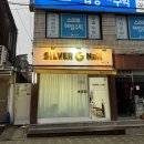실버지네일