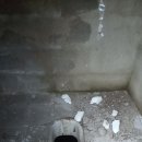 부강한약국 이미지