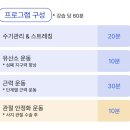 대구 재활 운동 전문: 하노버 메디칼 운동센터&amp;재활 PT - 허리 디스크 환자의 재활 운동 프로그램 찐 후기