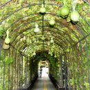 행정용 86 이미지