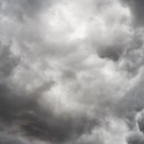 염소자리 이미지