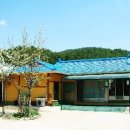 인제18-1 이미지