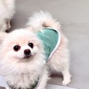 어울리개 이미지