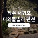 제주어린왕자풀빌라펜션 | 제주 애견동반 펜션 찾는다면 <다와풀빌라 애견펜션>