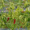 성지농장 이미지