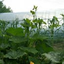 봉화농장 이미지