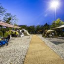 송도 달빛공원 다목적구장 | 도심 속 캠핑 천국, 송도 스포츠파크 캠핑장 이용 후기 (가족 레저 완벽 체험기)