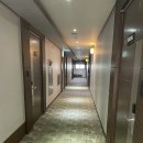 세븐일레븐 본동제일점 | 제주 애월 숙소 솔직후기 :: 베니키아 호텔 제주 (방음 최악,,,)