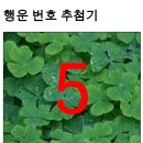 마샤 이미지