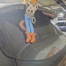 신갈주유소 | 광교 노터치 세차장 오토스테이 용인신갈점🚗✨ 스크래치 걱정 없는 프리미엄 세차 후기!