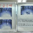 쿨가이