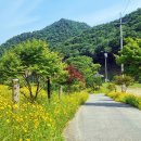 월리사 - 청주시 상당구 | 월리사