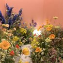 디토키즈풀빌라 이미지