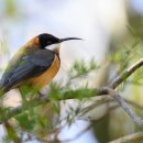 거창한 하루 이미지