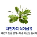 양천헬스 네이버블로그